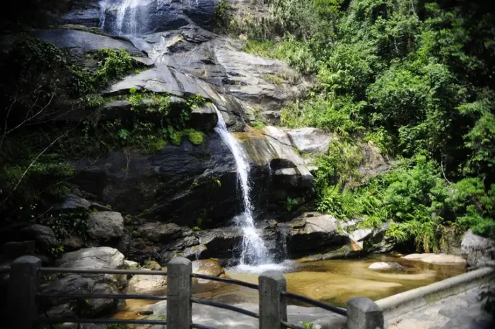 Parque Nacional da Tijuca promove feira de ciências gratuita com atividades sobre rios, peixes e preservação ambiental neste sábado (15). Confira a programação.