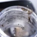Ministério da Saúde realiza Dia D contra a dengue no sábado (8) e reforça ações de prevenção enquanto avança na produção da vacina brasileira.