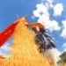 O IBGE projeta queda de 3,7% na safra brasileira de grãos em 2026, totalizando 332,7 milhões de toneladas. Fenômeno La Niña e preços menores devem impactar milho, arroz e algodão, enquanto soja deve crescer.
