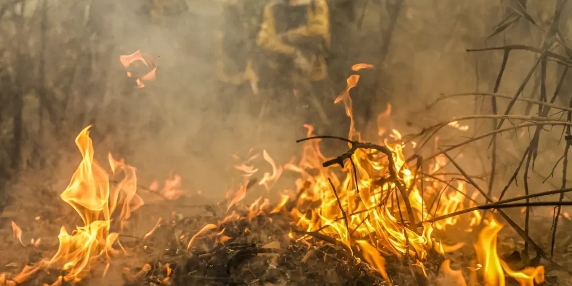 Estudo do MapBiomas revela que Pantanal e Amazônia tiveram as maiores elevações de temperatura do Brasil nos últimos 40 anos. A plataforma MapBiomas Atmosfera indica aumento médio de até 1,9°C, agravado por desmatamento e seca extrema.