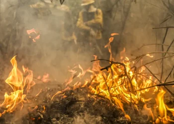 Estudo do MapBiomas revela que Pantanal e Amazônia tiveram as maiores elevações de temperatura do Brasil nos últimos 40 anos. A plataforma MapBiomas Atmosfera indica aumento médio de até 1,9°C, agravado por desmatamento e seca extrema.