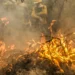 Estudo do MapBiomas revela que Pantanal e Amazônia tiveram as maiores elevações de temperatura do Brasil nos últimos 40 anos. A plataforma MapBiomas Atmosfera indica aumento médio de até 1,9°C, agravado por desmatamento e seca extrema.