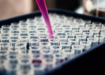 Pesquisa liderada pela UFRGS revela que o Alzheimer depende da ativação conjunta de astrócitos e microglia, indicando que a inflamação cerebral é crucial para o avanço da doença. Estudo traz nova perspectiva sobre tratamentos.