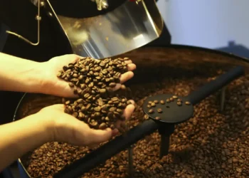Trump remove tarifas de produtos agrícolas como café, carne e frutas. Brasil avalia impacto e pode ser beneficiado. Entenda a medida.
