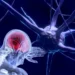 A Unesco aprovou o primeiro marco ético global sobre neurotecnologia, que orienta países a regulamentar o uso de dispositivos capazes de monitorar e alterar a atividade cerebral, protegendo a privacidade e os direitos humanos.