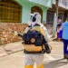 Com a aproximação do verão, Vitória realiza mobilização contra a dengue no bairro Grande Vitória, com visitas domiciliares, limpeza de criadouros e ações educativas para conscientizar moradores.