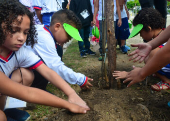 Vitória alcança marca histórica com mais de 206 mil mudas plantadas desde 2021. O Programa VixFlora, da Semmam, reforça a recuperação da Mata Atlântica e amplia a cobertura verde da cidade.
