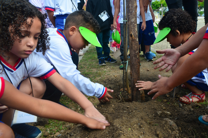 Vitória alcança marca histórica com mais de 206 mil mudas plantadas desde 2021. O Programa VixFlora, da Semmam, reforça a recuperação da Mata Atlântica e amplia a cobertura verde da cidade.