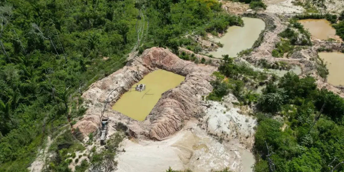 Facções criminosas ampliam atuação na Amazônia Legal, controlando garimpos, rotas de tráfico e territórios. Estudo mostra presença em 45% dos municípios e avanço da violência em estados como Mato Grosso, Pará, Amapá e Maranhão.