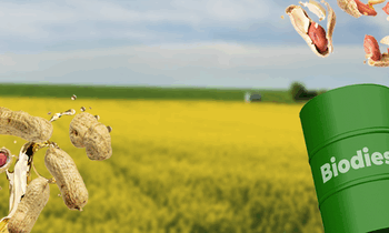 Brasil abre novos mercados nas Filipinas, Guatemala e Nicarágua e alcança 496 liberações para exportações agropecuárias desde 2023, fortalecendo a diversificação e o valor agregado do agronegócio.