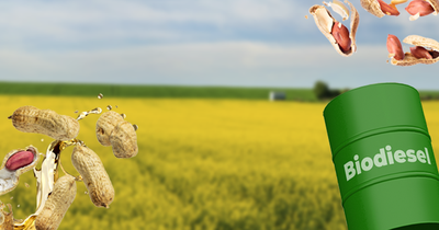 Brasil abre novos mercados nas Filipinas, Guatemala e Nicarágua e alcança 496 liberações para exportações agropecuárias desde 2023, fortalecendo a diversificação e o valor agregado do agronegócio.
