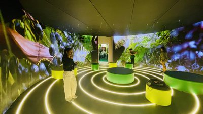 Banco da Amazônia anuncia aporte inicial de R$500 milhões para captar até R$4 bilhões em investimentos privados, destinados a bioeconomia e infraestrutura verde, reforçando protagonismo financeiro da região na COP30.