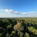 Desmatamento em unidades de conservação da Amazônia cai 74%, menor índice desde 2008. Governo Lula reforça compromisso com meta de desmatamento zero até 2030.