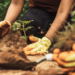 O Ministério da Agricultura levará quatro planos estratégicos à COP 30, em Belém, com foco em agricultura de baixa emissão de carbono, restauração de terras degradadas, uso racional de fertilizantes e produção pecuária sustentável.