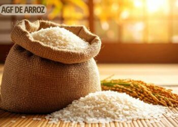 A Conab vai comprar até 137 mil toneladas de arroz da safra 2024/25, garantindo o preço mínimo aos produtores. A medida, com aporte de R$ 200 milhões, fortalece o setor e apoia a agricultura familiar diante da queda nos preços.