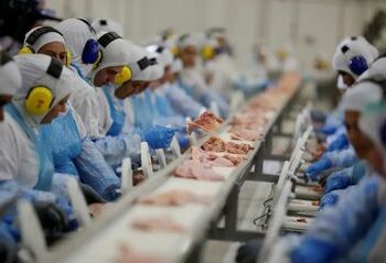 A China voltou a comprar carne de aves do Brasil após suspender temporariamente as importações devido a um caso isolado de gripe aviária no Rio Grande do Sul. A decisão fortalece o comércio agropecuário entre os dois países e confirma o status sanitário brasileiro.