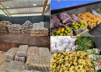 Mais de 140 toneladas de alimentos do Programa de Aquisição de Alimentos (PAA) abastecem a COP30 em Belém, reforçando o combate à fome e a valorização da agricultura familiar durante a conferência climática.