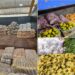 Mais de 140 toneladas de alimentos do Programa de Aquisição de Alimentos (PAA) abastecem a COP30 em Belém, reforçando o combate à fome e a valorização da agricultura familiar durante a conferência climática.