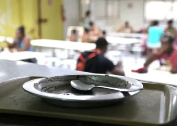 Pesquisa do IBGE revela que 49% das prefeituras brasileiras não têm estrutura para políticas de segurança alimentar. Apenas metade dos municípios conta com conselhos ativos de combate à fome.