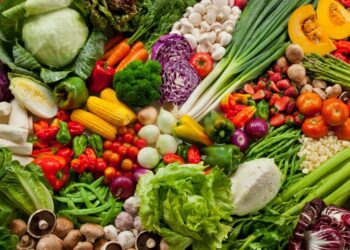 Preço do tomate cai 26,15% em novembro nos atacados, segundo a Conab. Boletim Prohort mostra queda em hortaliças, estabilidade nas frutas e alta nas exportações.
