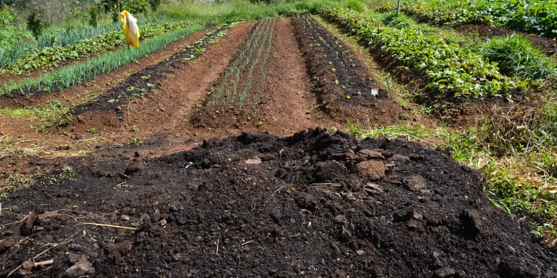 CMN aprova pacote de medidas para ampliar apoio a produtores rurais afetados por eventos climáticos, ajustar regras ambientais e reforçar o crédito rural e o Pronaf.