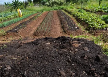 CMN aprova pacote de medidas para ampliar apoio a produtores rurais afetados por eventos climáticos, ajustar regras ambientais e reforçar o crédito rural e o Pronaf.