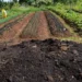 CMN aprova pacote de medidas para ampliar apoio a produtores rurais afetados por eventos climáticos, ajustar regras ambientais e reforçar o crédito rural e o Pronaf.
