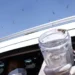 Ministério da Saúde inicia liberação de mosquitos estéreis em aldeia indígena de Pernambuco para combater dengue, Zika e chikungunya sem uso de inseticidas.