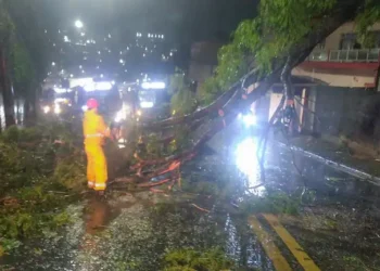 Ciclone extratropical provoca falta de energia para mais de 2 milhões de clientes em São Paulo. Ventos fortes causaram queda de árvores e danos à rede elétrica.
