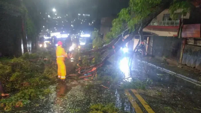 Ciclone extratropical provoca falta de energia para mais de 2 milhões de clientes em São Paulo. Ventos fortes causaram queda de árvores e danos à rede elétrica.