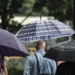 A passagem de uma frente fria deve provocar chuva forte e temporais em São Paulo na primeira semana de janeiro. Defesa Civil emite alerta e reforça recomendações.