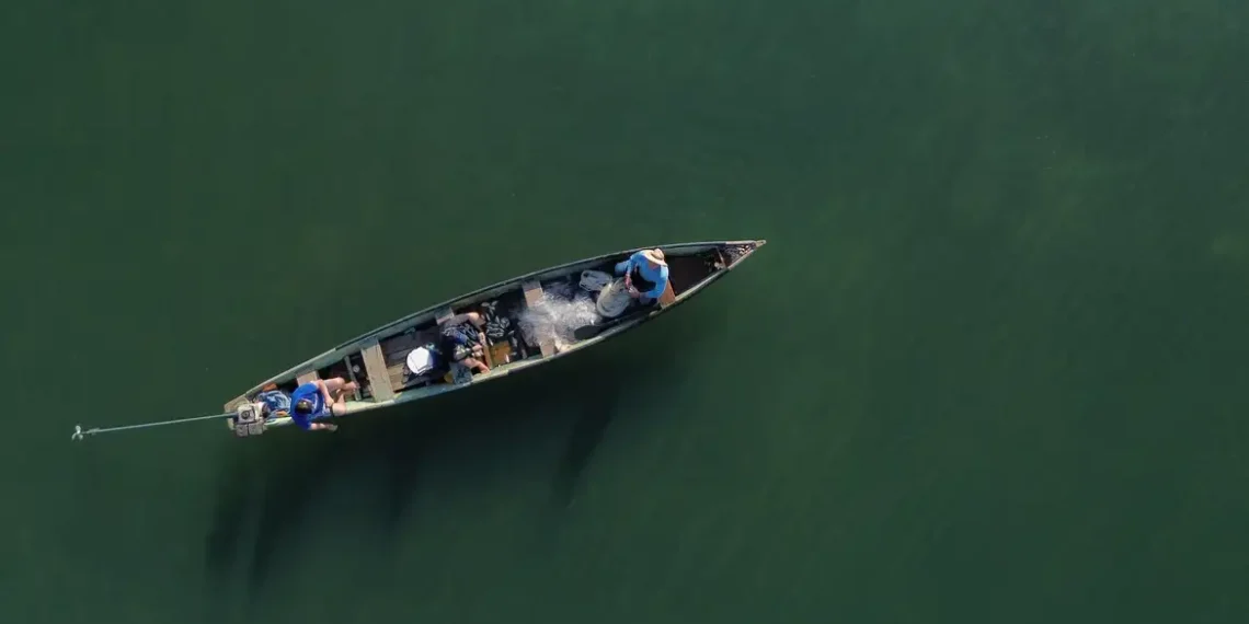 Pescadores profissionais têm até 31 de dezembro para enviar o Relatório Anual de Exercício da Atividade Pesqueira e manter o RGP ativo para acesso ao seguro-defeso.