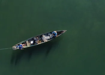 Pescadores profissionais têm até 31 de dezembro para enviar o Relatório Anual de Exercício da Atividade Pesqueira e manter o RGP ativo para acesso ao seguro-defeso.