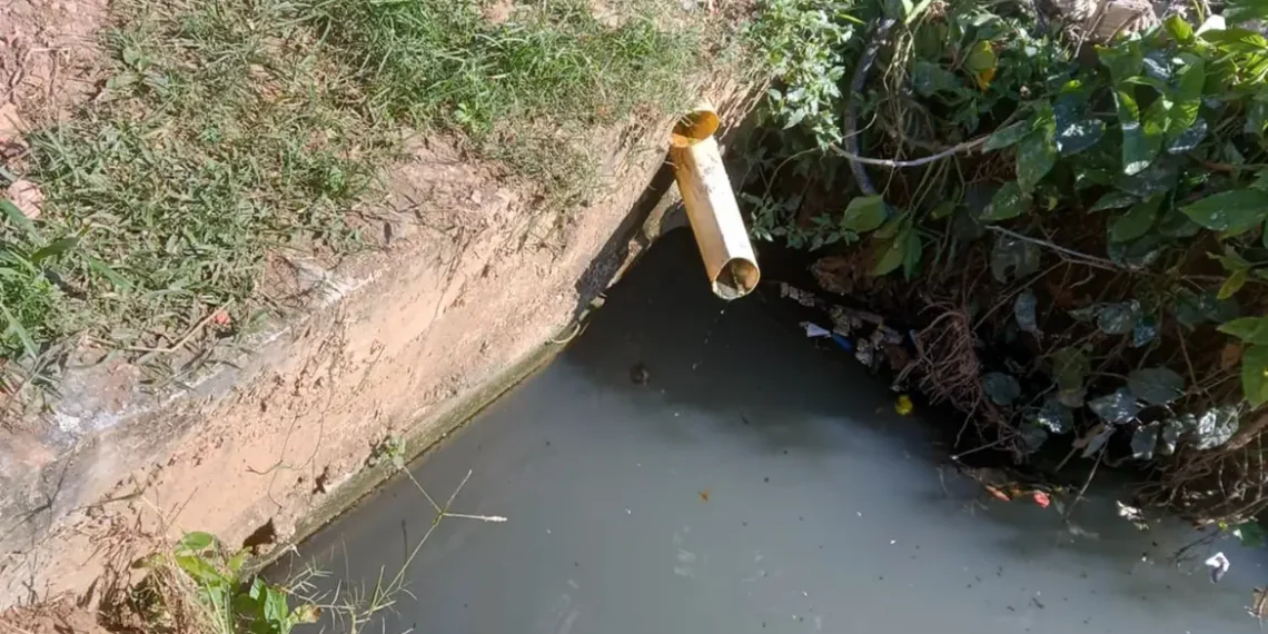 MPF move ação contra a Prefeitura de Cabo Frio por despejo irregular de esgoto no Brejo da Flexeira, território do Quilombo de Maria Joaquina, no RJ.