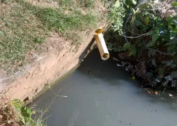 MPF move ação contra a Prefeitura de Cabo Frio por despejo irregular de esgoto no Brejo da Flexeira, território do Quilombo de Maria Joaquina, no RJ.