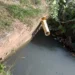 MPF move ação contra a Prefeitura de Cabo Frio por despejo irregular de esgoto no Brejo da Flexeira, território do Quilombo de Maria Joaquina, no RJ.