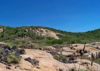 Novo episódio de Caminhos da Reportagem mostra as paisagens, culturas e ações de preservação do Geoparque Seridó, no RN, reconhecido pela Unesco como território de relevância mundial.