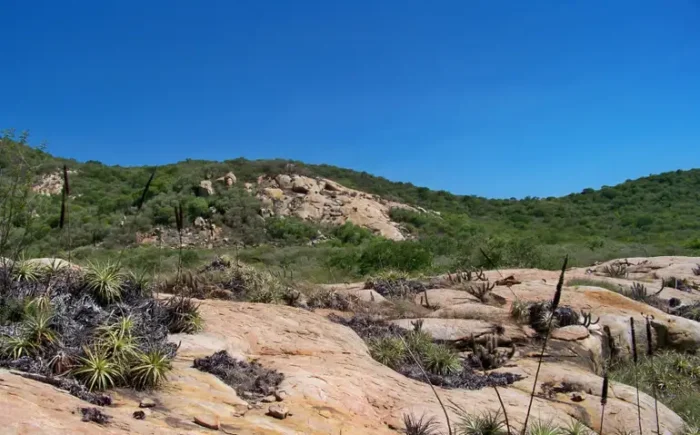Novo episódio de Caminhos da Reportagem mostra as paisagens, culturas e ações de preservação do Geoparque Seridó, no RN, reconhecido pela Unesco como território de relevância mundial.