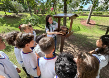 A Ufes recebe, no dia 2 de dezembro, uma ação educativa do CEA Mata Paludosa durante o 1º Colóquio de Educação Ambiental do NIPEEA, com oficinas de compostagem, horta experimental e plantio de mudas medicinais voltadas à formação crítica e sustentável.