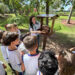 A Ufes recebe, no dia 2 de dezembro, uma ação educativa do CEA Mata Paludosa durante o 1º Colóquio de Educação Ambiental do NIPEEA, com oficinas de compostagem, horta experimental e plantio de mudas medicinais voltadas à formação crítica e sustentável.