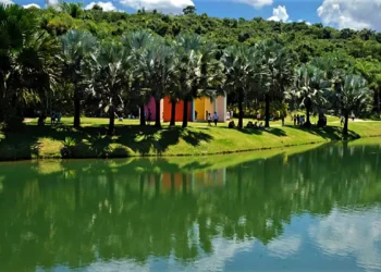 Instituto Inhotim bate recorde de visitantes em 2025, projeta crescimento até o fim do ano e anuncia programação especial para celebrar 20 anos em 2026.