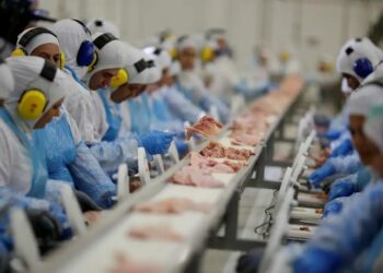 Preços da indústria caíram 0,48% em outubro, nona retração consecutiva, segundo o IBGE. Alimentos e produtos químicos puxam o resultado, e o IPP acumula queda de 4,33% no ano.