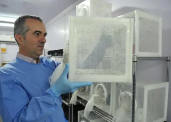 Luciano Andrade Moreira é escolhido pela revista Nature como um dos dez cientistas que moldaram 2025, graças ao Método Wolbachia no combate à dengue.