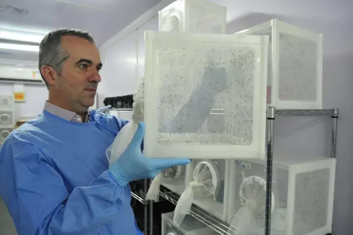 Luciano Andrade Moreira é escolhido pela revista Nature como um dos dez cientistas que moldaram 2025, graças ao Método Wolbachia no combate à dengue.
