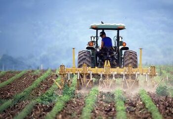 Programa de microcrédito do MIDR beneficia mais de 24 mil famílias de agricultores em 2025, com R$ 296 milhões em contratos e foco na inclusão produtiva.