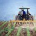 Programa de microcrédito do MIDR beneficia mais de 24 mil famílias de agricultores em 2025, com R$ 296 milhões em contratos e foco na inclusão produtiva.