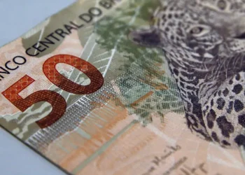 Fundações e associações sem fins lucrativos pagaram salários médios maiores que empresas em 2023, segundo estudo do IBGE sobre o setor no Brasil.