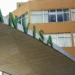 Anvisa determina recolhimento de lote de chá de camomila por presença de insetos e matérias estranhas e proíbe pomada pós-tatuagem sem registro no país.