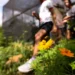 Dia da Educação Ambiental evidencia projetos que estimulam sustentabilidade, reciclagem e preservação da natureza, impactando crianças, jovens e comunidades em todo o país.