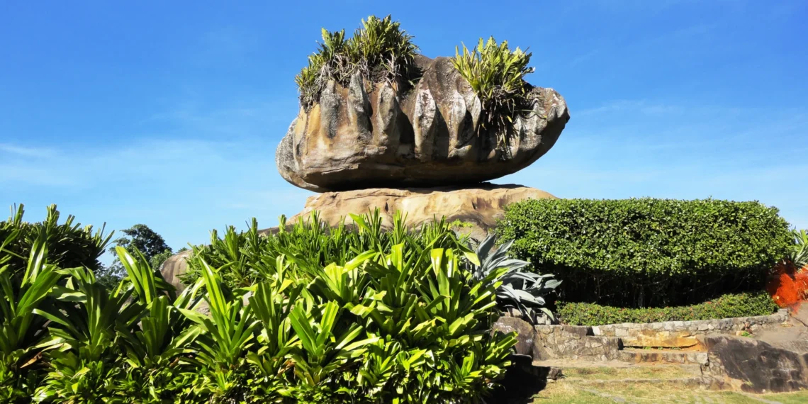Parque Pedra da Cebola lança projeto educativo sobre as quatro estações do ano, com atividades gratuitas de educação ambiental em Vitória.